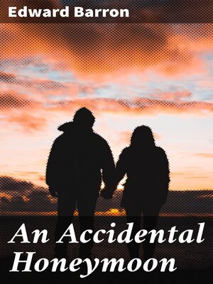 cover image of An Accidental Honeymoon
